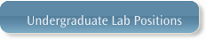 Undergraduate Lab Positions